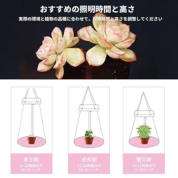Amazon | QLM 植物育成ライト 植物育成用ランプ 植物成長ライト